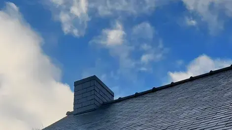 ramoneur à La Baconnière - image 2